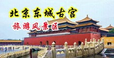 欧美老骚逼中国北京-东城古宫旅游风景区